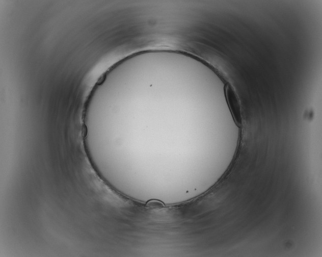 X0000115231480200911201546