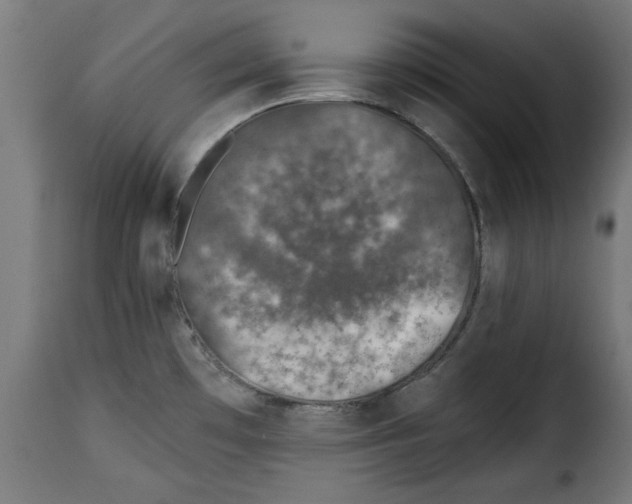 X0000115231481200911201546