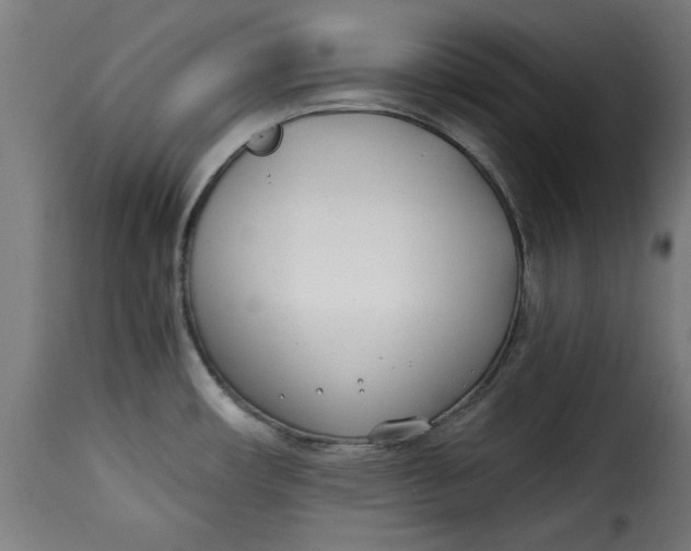 X0000115231482200911201546