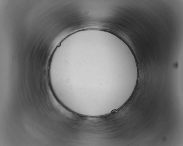 X0000115231483200911201546