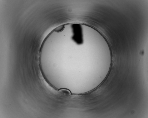 X0000115231484200911201546