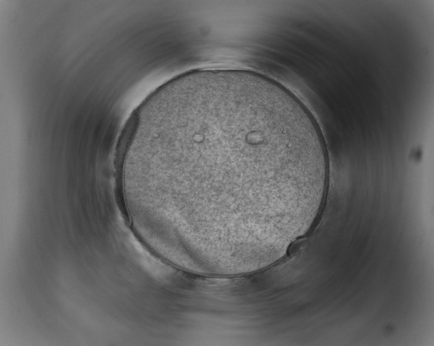 X0000115231485200911201546