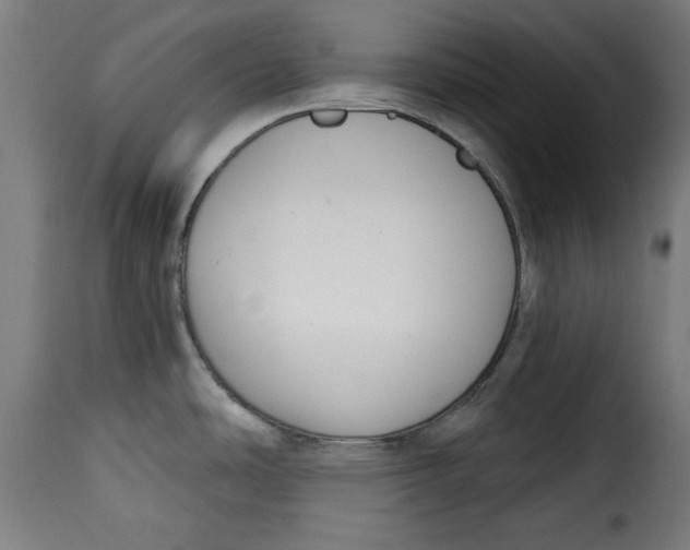 X0000115231486200911201546