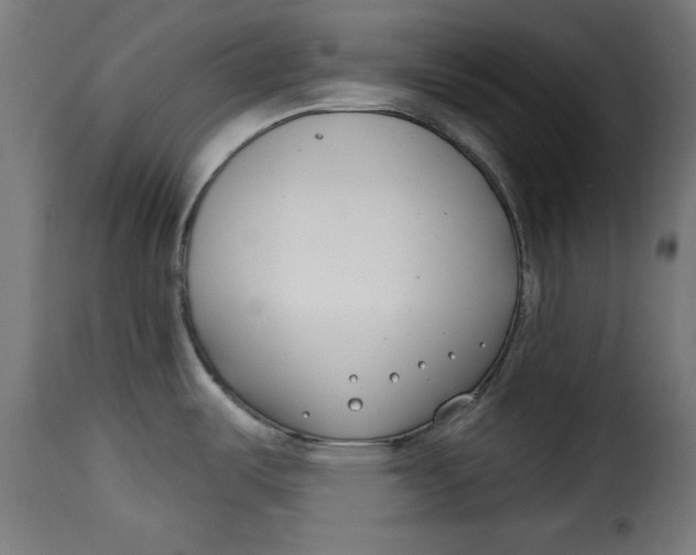 X0000115231487200911201546