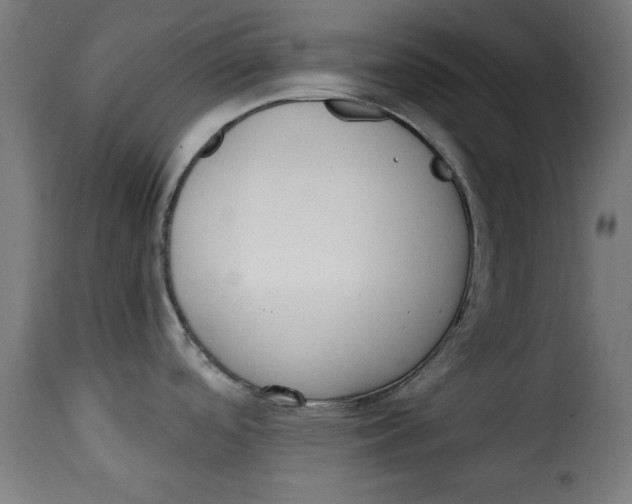 X0000115231488200911201546