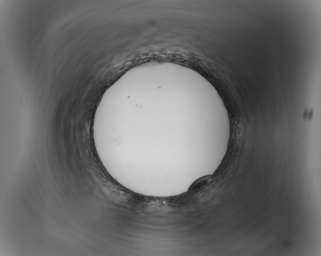 X0000115231489200911201545