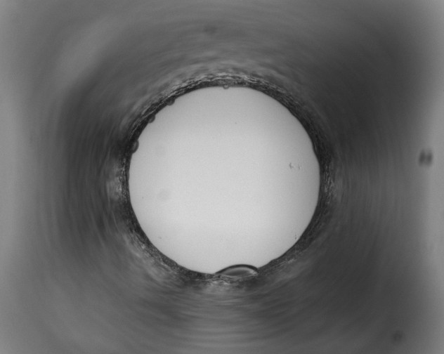 X0000115231490200911201545