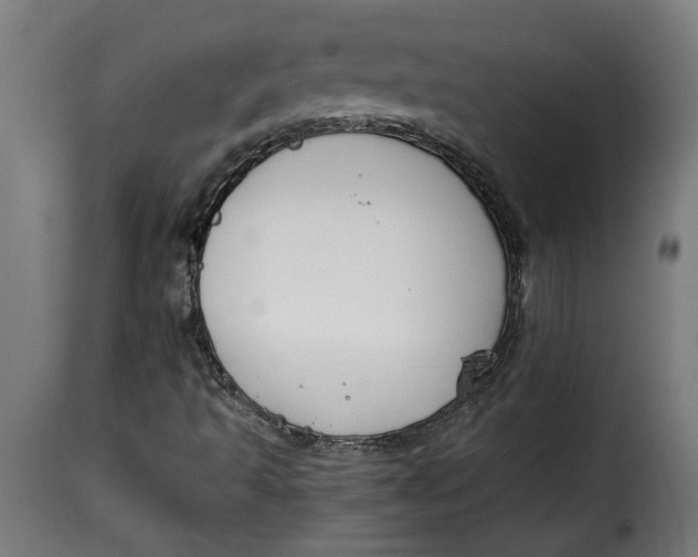 X0000115231493200911201545