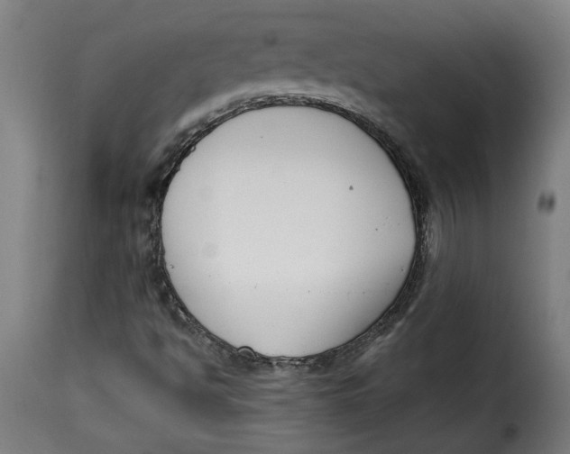 X0000115231494200911201545