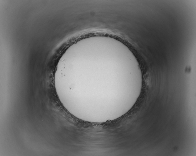 X0000115231495200911201545