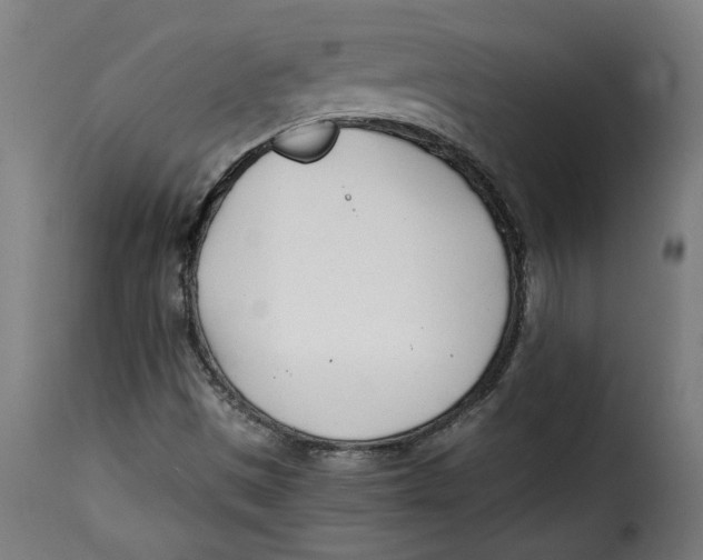 X0000115231497200911201545