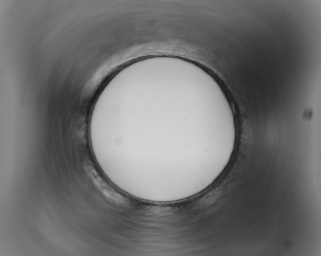 X0000115231499200911201545