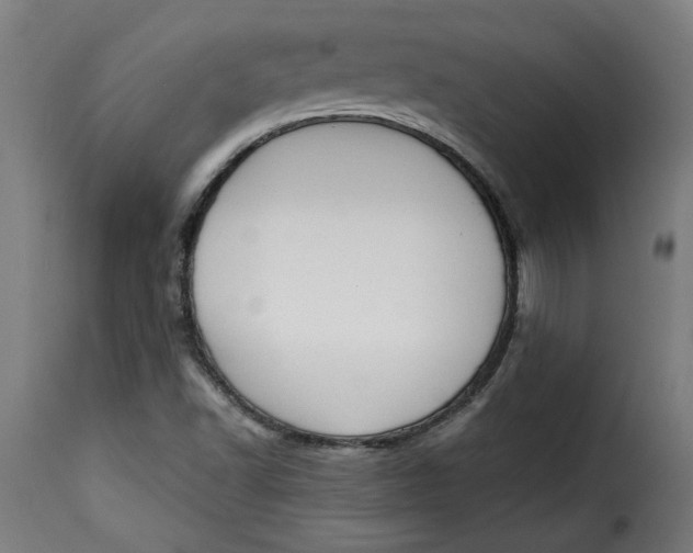 X0000115231502200911201545