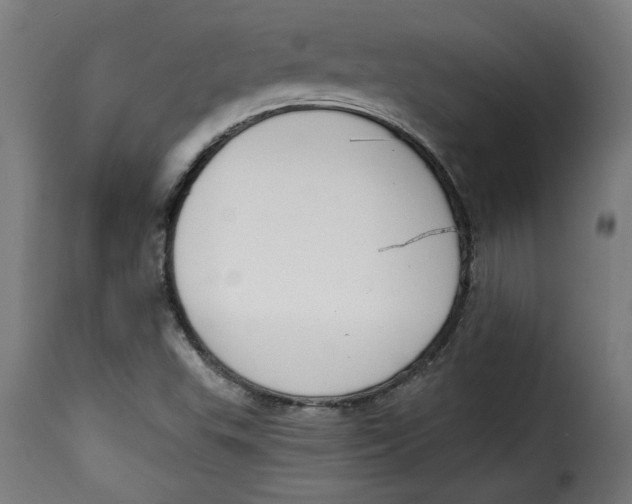 X0000115231503200911201545