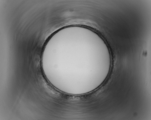 X0000115231505200911201545