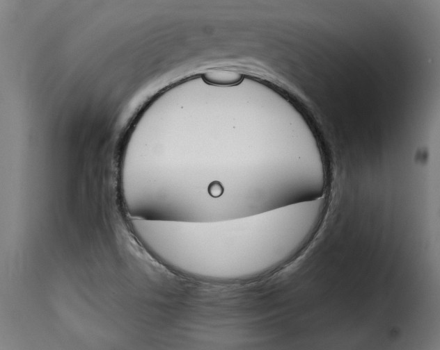 X0000115231506200911201545