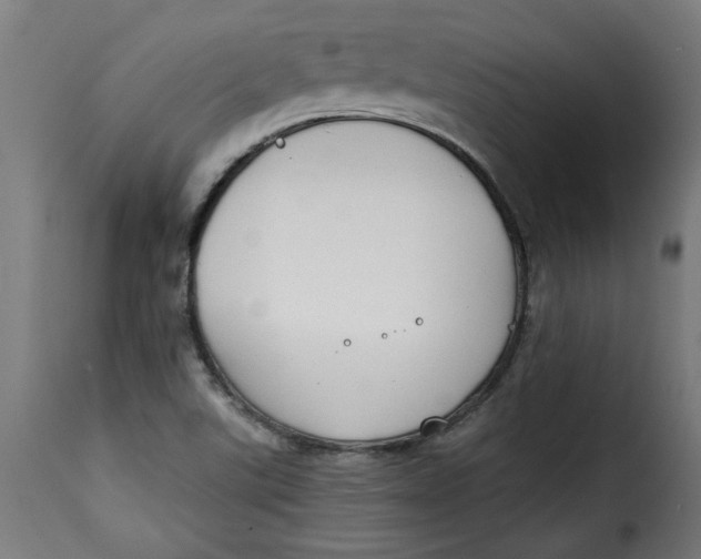 X0000115231507200911201545