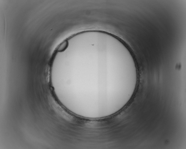 X0000115231510200911201545