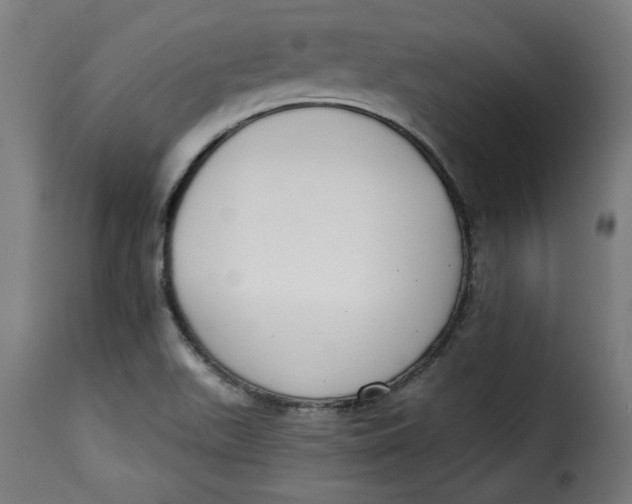 X0000115231511200911201545