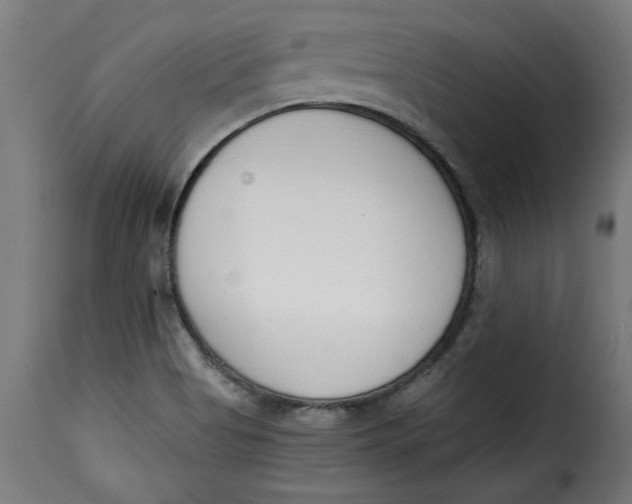 X0000115231513200911201545