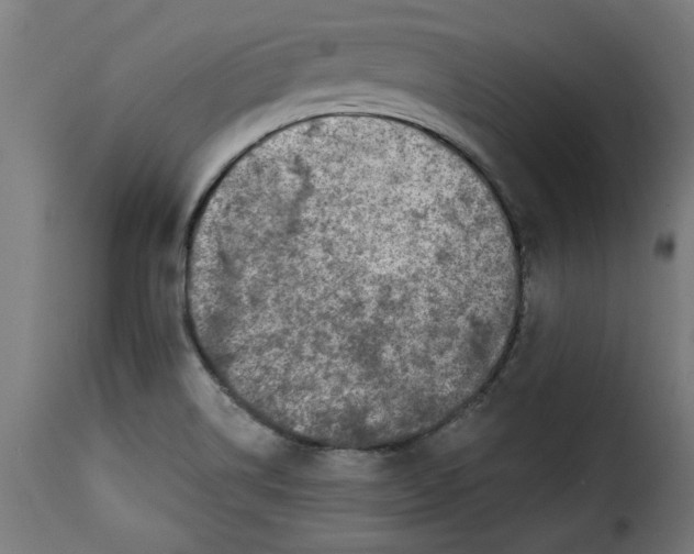 X0000115231514200911201545