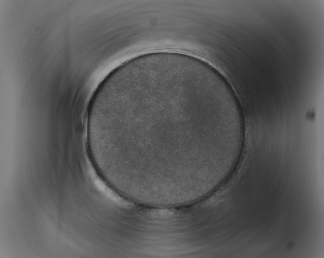 X0000115231515200911201545