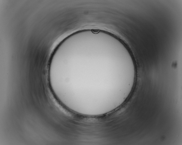 X0000115231517200911201546