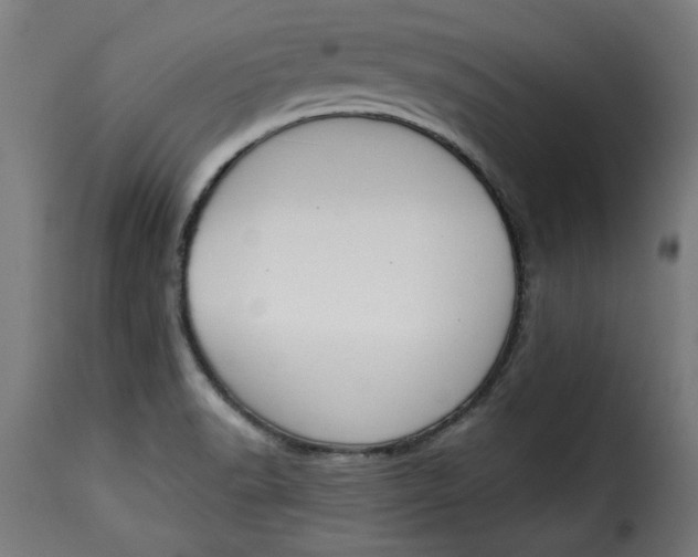 X0000115231518200911201546