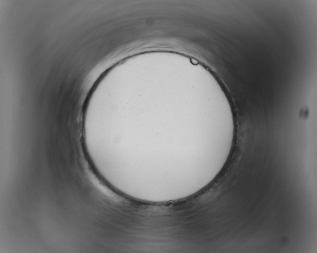 X0000115231519200911201546