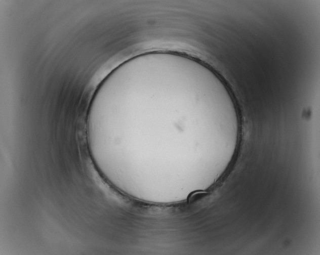 X0000115231521200911201546