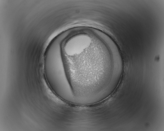 X0000115231522200911201546