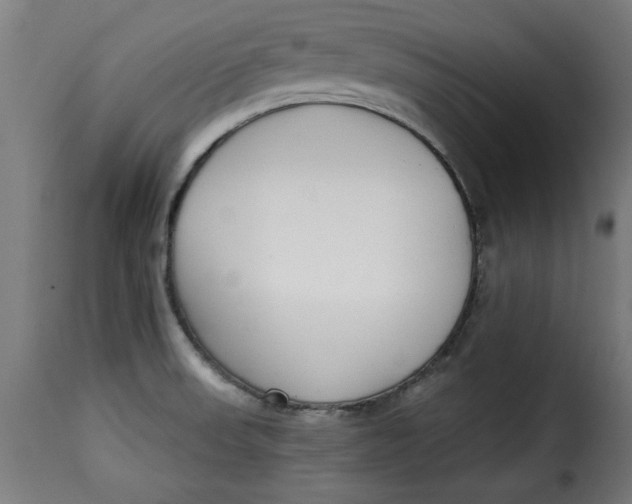 X0000115231523200911201546