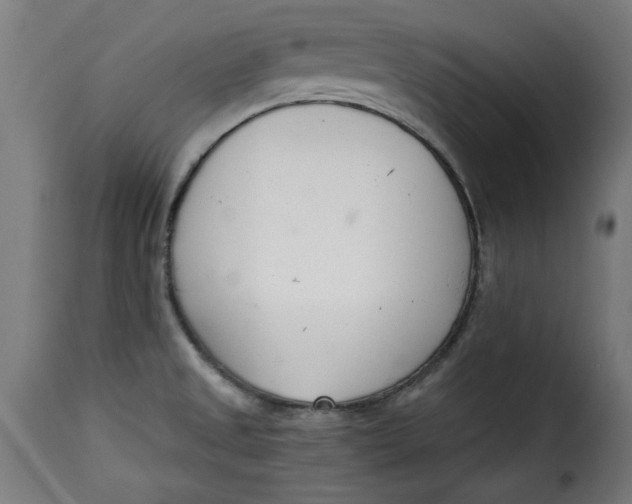 X0000115231525200911201546