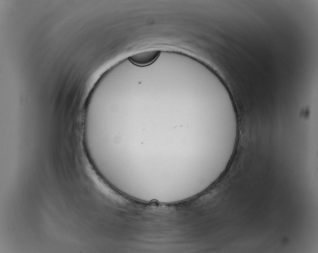 X0000115231526200911201546