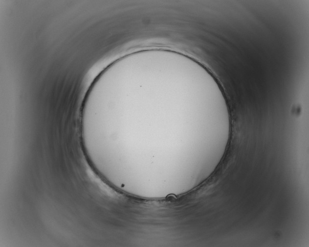 X0000115231527200911201546