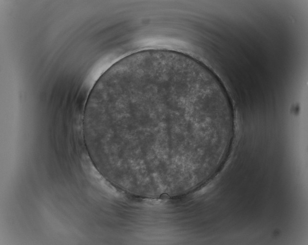 X0000115231529200911201546