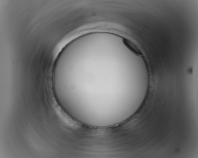 X0000115231530200911201546