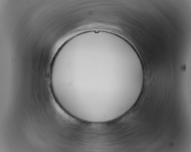 X0000115231531200911201546