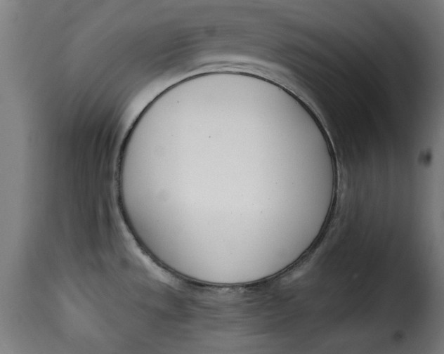 X0000115231533200911201546