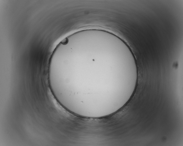 X0000115231534200911201546