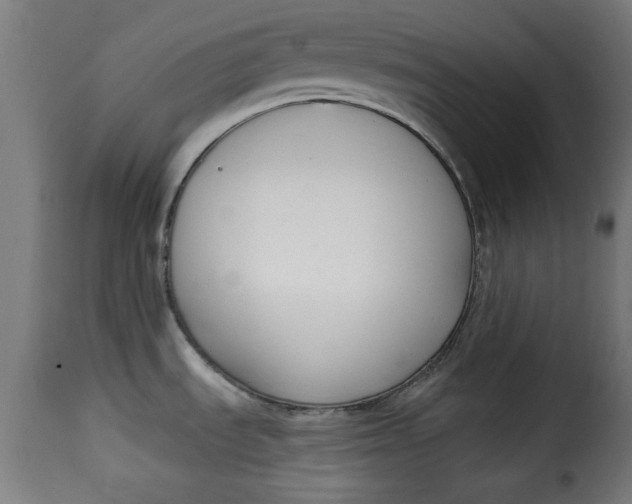 X0000115231535200911201546