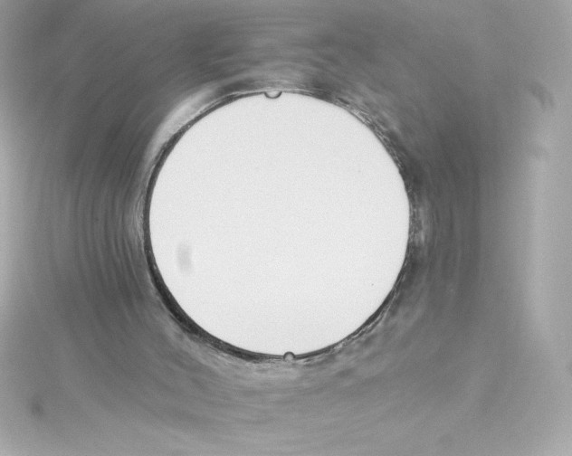 X0000115230004200911271832