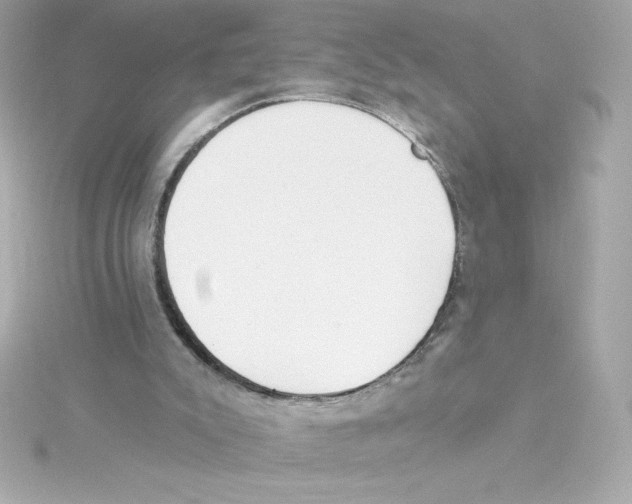 X0000115230007200911271832