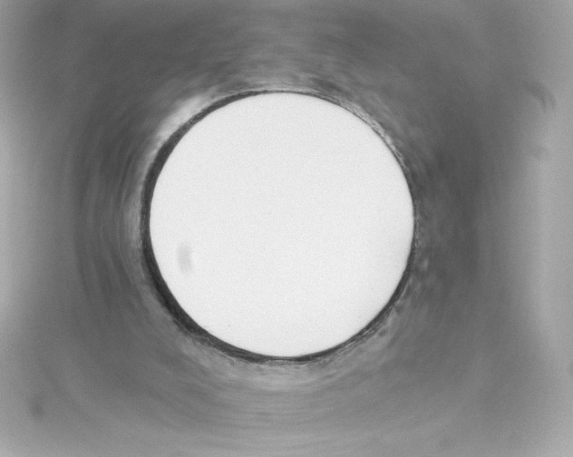 X0000115230008200911271832