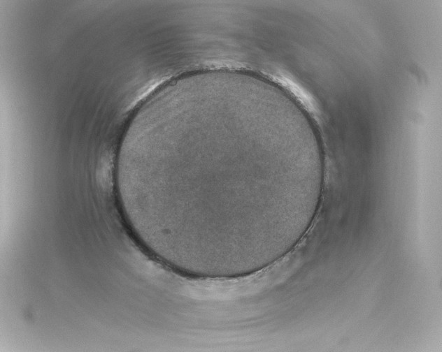 X0000115230009200911271832