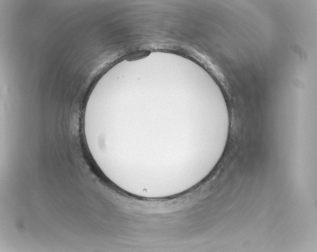 X0000115230010200911271832