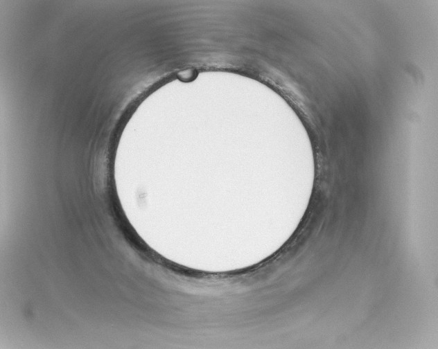 X0000115230012200911271832