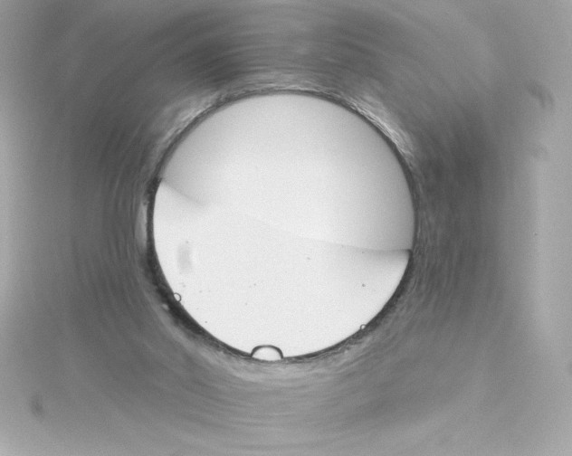 X0000115230014200911271832