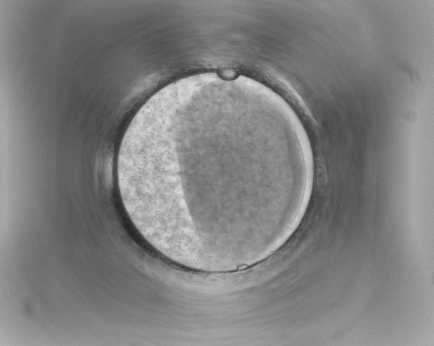 X0000115230019200911271832