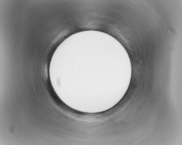 X0000115230020200911271832